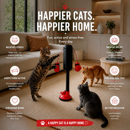 Cat Boxing Toy