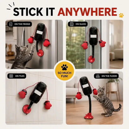 Interactive Cat Boxing Toy