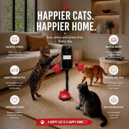 Interactive Cat Boxing Toy