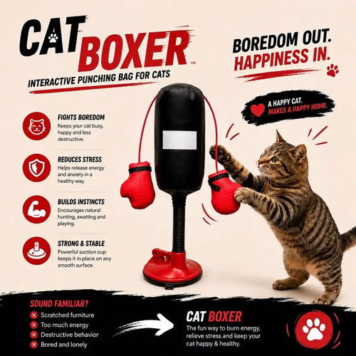 Interactive Cat Boxing Toy